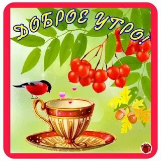 Стикер доброе осеннее утро и хорошего дня