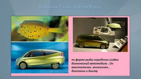 Какие созданы живые