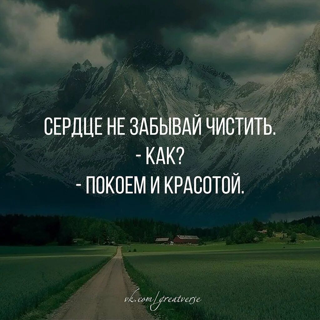 Покой цитаты. Тишина и покой цитаты. природа спокойствие цитаты. цитаты про пространство. чистить сердце покоем.