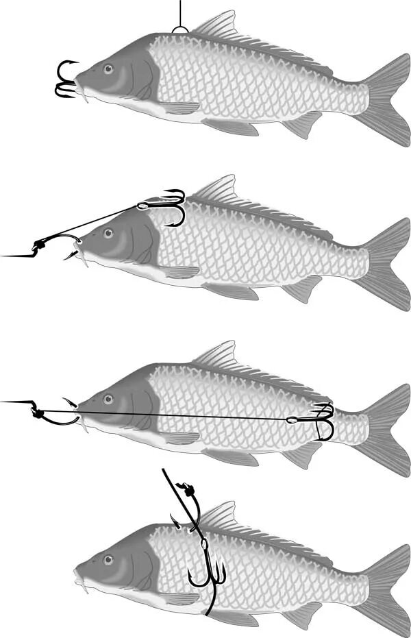 Насадить живца на щуку. Правильно насаживать живца на двойник. Способы насаживания живца на двойник. Способы насадки живца на двойник. Способы насадки живца на крючок.