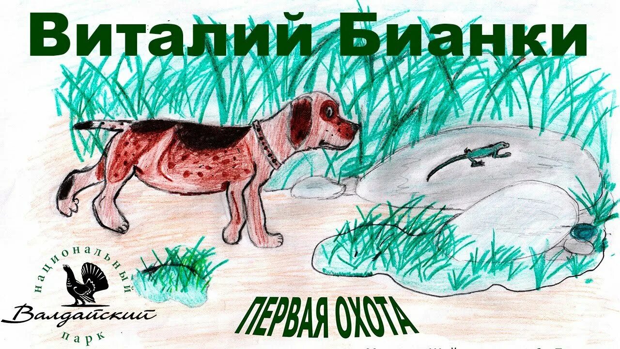 Бианка охота. Охота виталия бианки. бианки первая охота иллюстрации к произведению. в. бианки &quot;первая охота&quot;.
