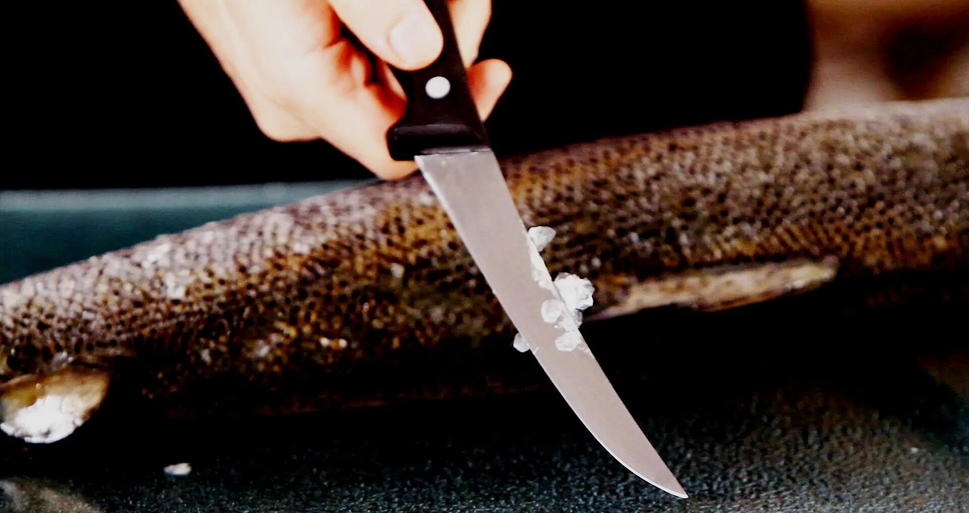 нож с отмывать. особенные ножи для чистки.