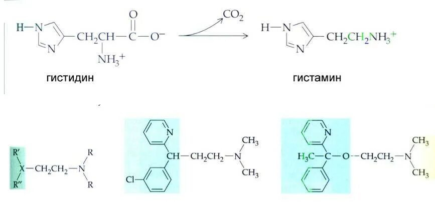 Схему реакции образования гистамина. Декарбоксилирование гистидина реакция. Схема реакции образования гистамина и гистидина. Гистамин из гистидина схема реакции.