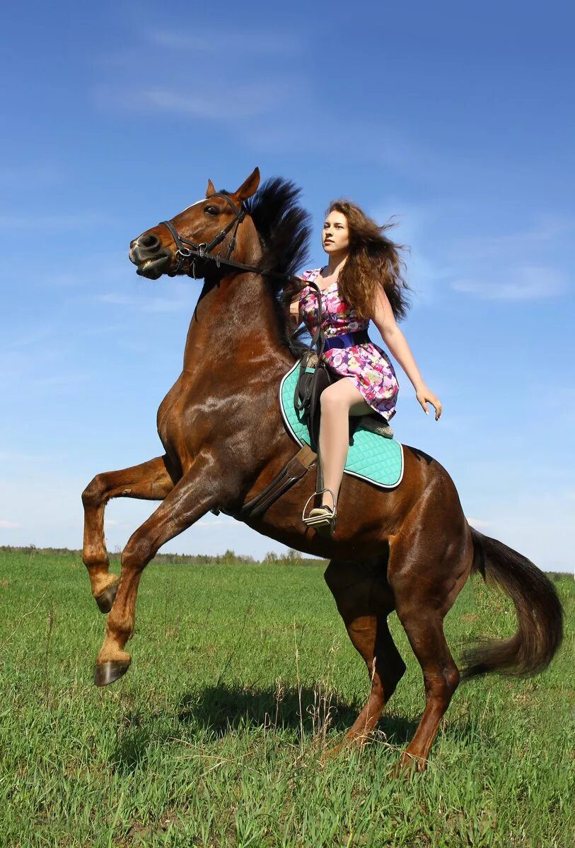 кск алискино. прогулка на лошадях в москве. где можно лошадь кататься. прогулка на лошадях. где можно лошадь кататься.