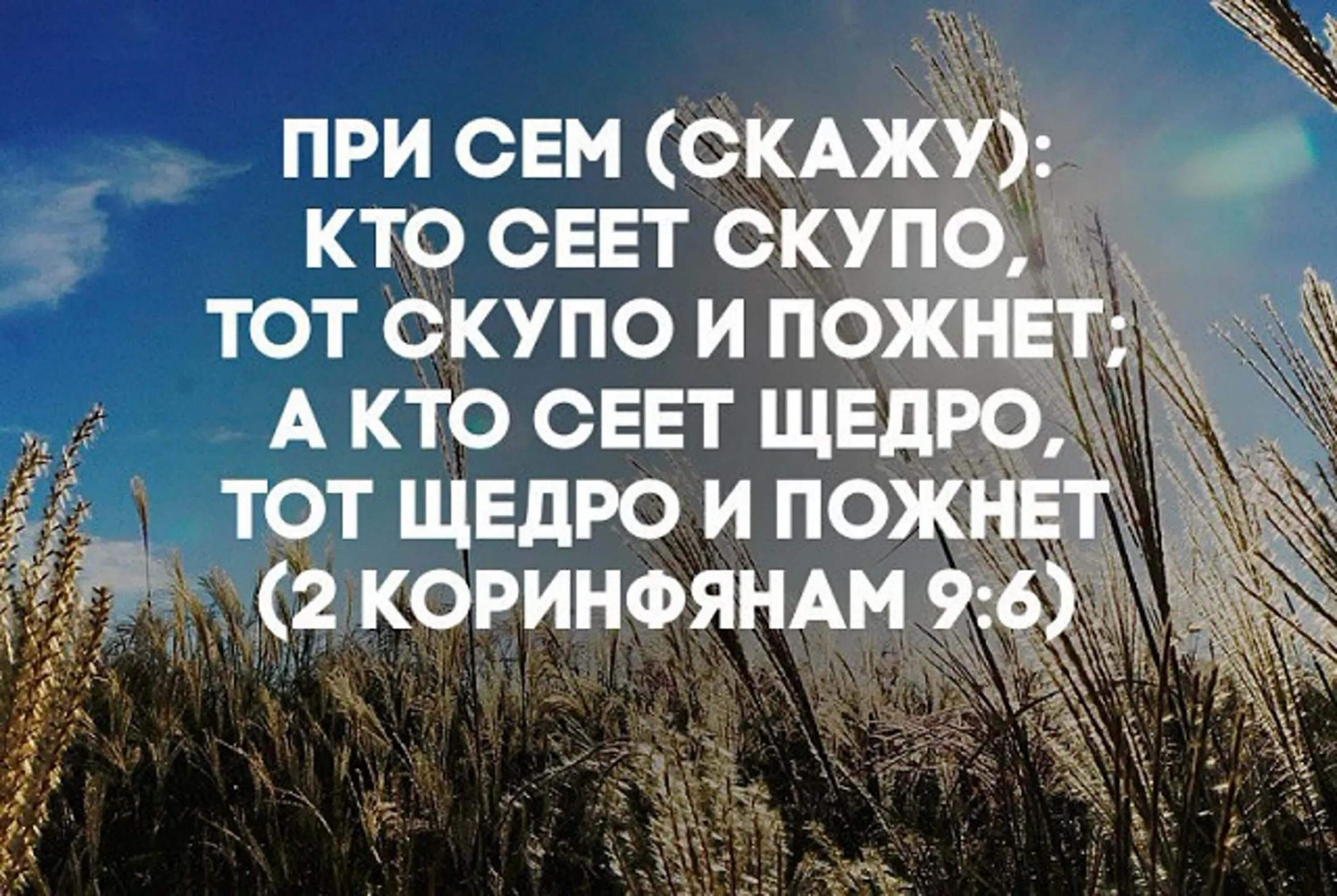 Сем сказанным. Кто сеет скупо тот скупо и пожнет. Цитаты про щедрость. Цитаты про щедрость и доброту. Кто сеет щедро тот щедро и пожнет.