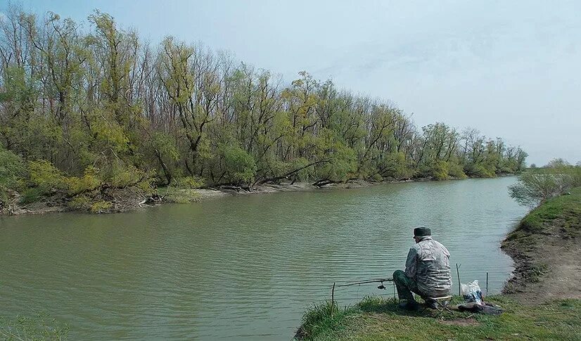 Где рыбачить на реке. Рыбалка в Краснодарском крае на реке Кубань. Рыбалка в Темрюке на реке Кубань. Рыбалка на реке Кубань в Краснодаре. Река Рыбная Краснодарского края.