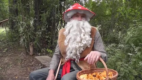 Старик гриб