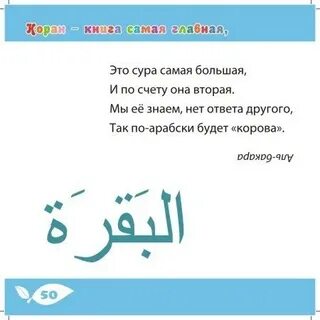 Загадка мусульманин