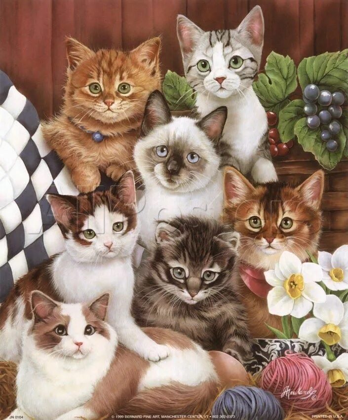 05 cat