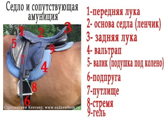 Седло разбор. Строение седла и уздечки для лошади. строение седла для лошади. строение седла и уздечки. лошадиное седло строение.