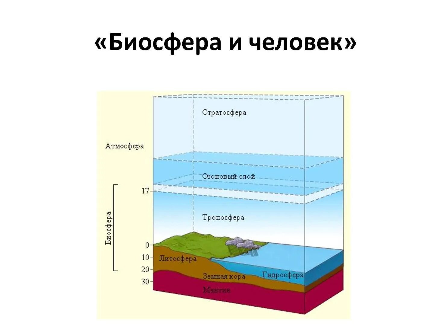 Какая нижняя граница биосферы. Атмосфера литосфера гидросфера Биосфера Тропосфера стратосфера. Из чего состоит Биосфера кратко. Биосфера гидросфера атмосфера литосфера схема. Границы биосферы 6 класс география.