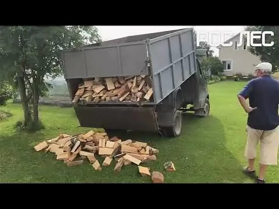 Видео дрова. Пилить дрова. Колим дрова. Видео дрова. Видео дрова.