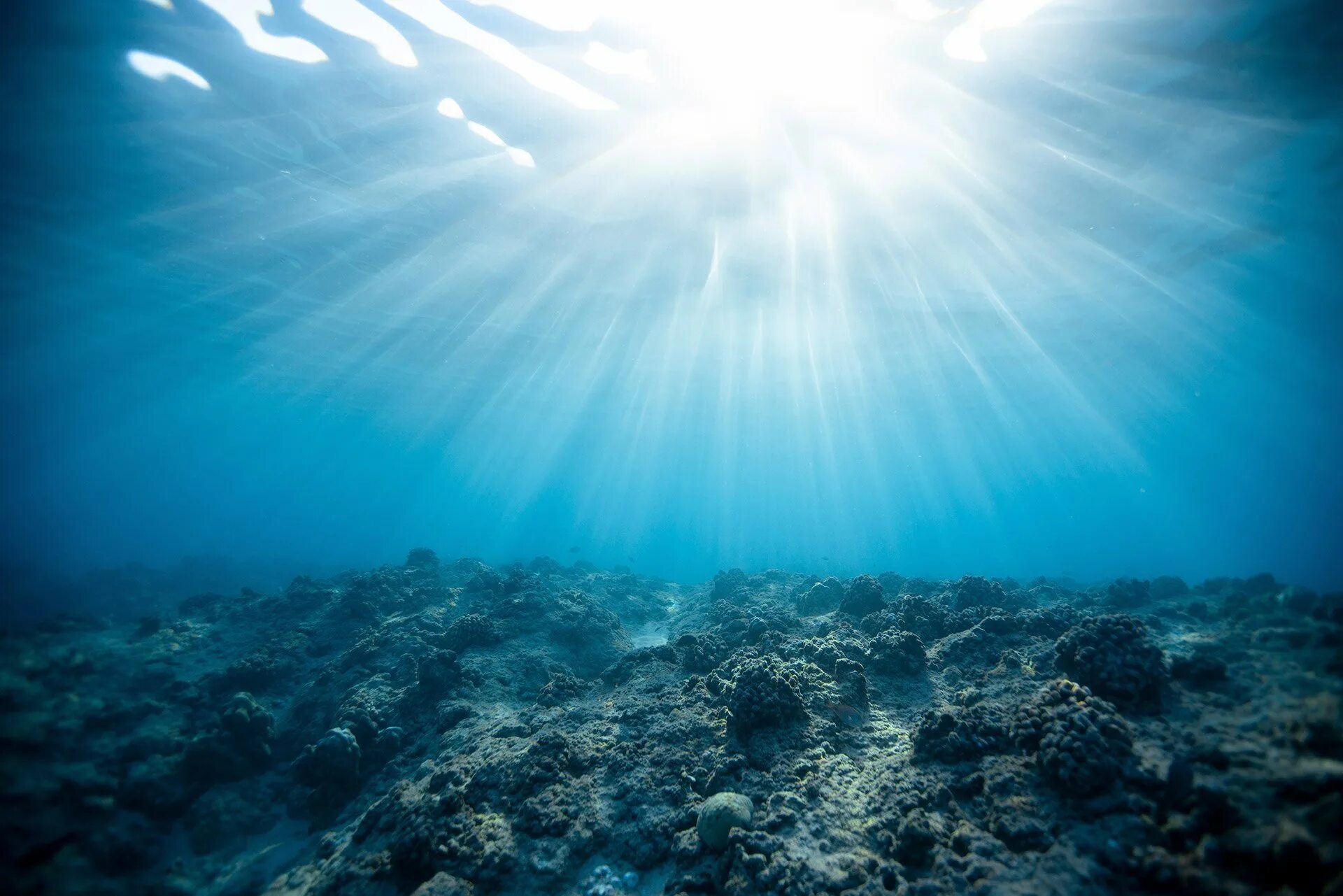 В глубь океана. Морское дно. Дно океана. Океан под водой. Море глубина.