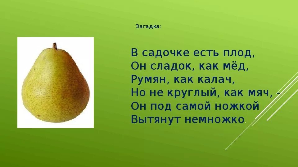 Презентация загадками с ответами