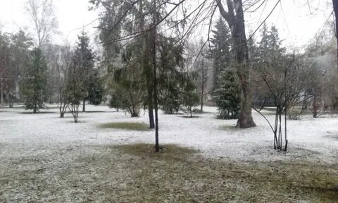 Апрель нск