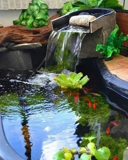 Аквариумы пруды