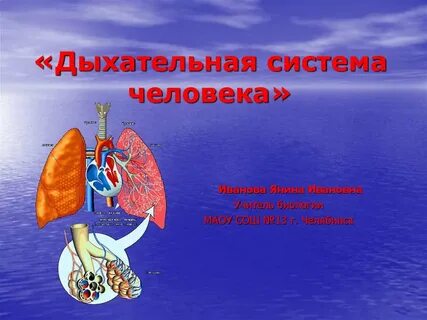 Дыхание презентация 3 класс