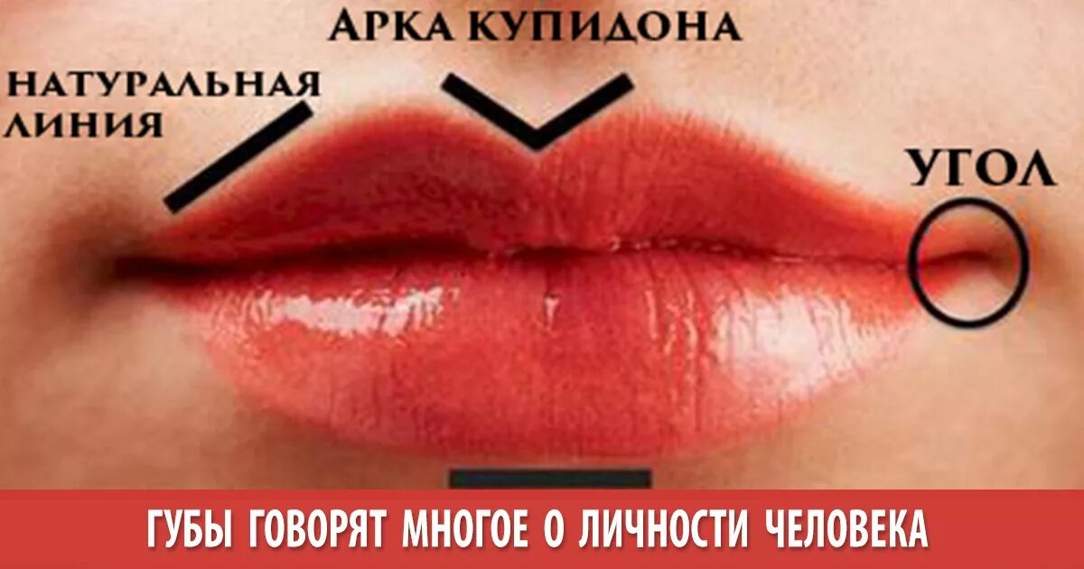 лук купидона губы