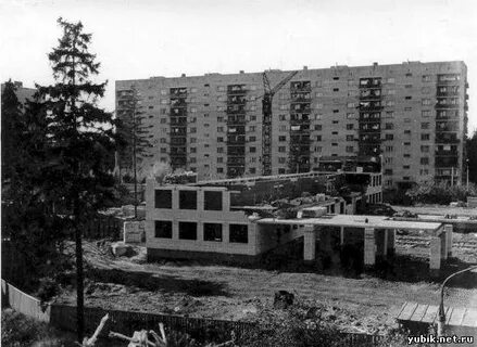 Большой королев
