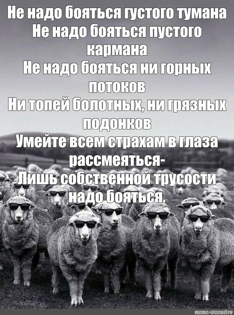 Не надо бояться густого тумана. Стих не надо бояться густого тумана. Стих Евтушенко не надо бояться густого тумана. Не надо бояться пустого кармана. Стихотворение не бойтесь густого тумана