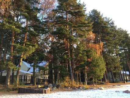 Коприно рыбинск отдых