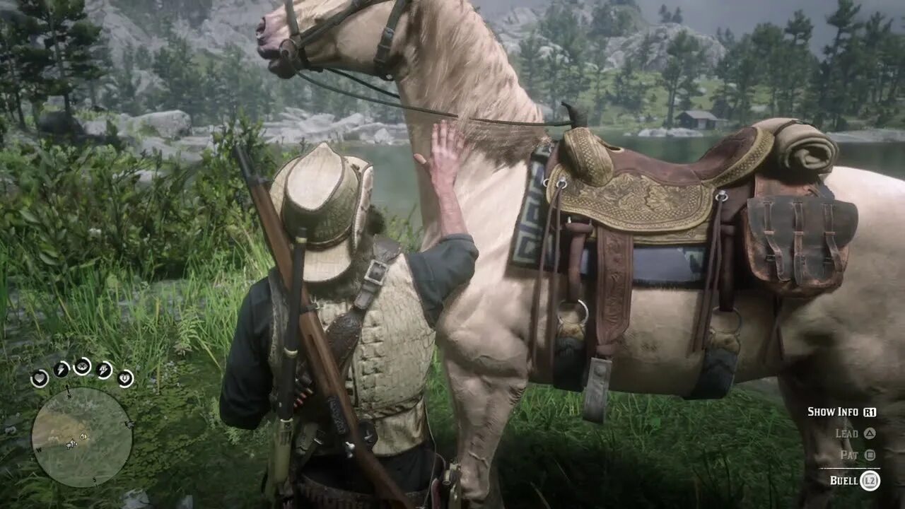 Red Dead Redemption 2 геймплей. Red Dead Redemption 2 Turkoman Horse. Red Dead Redemption 2 Бьюэлл. Конь Бьюэл в Red Dead Redemption 2.