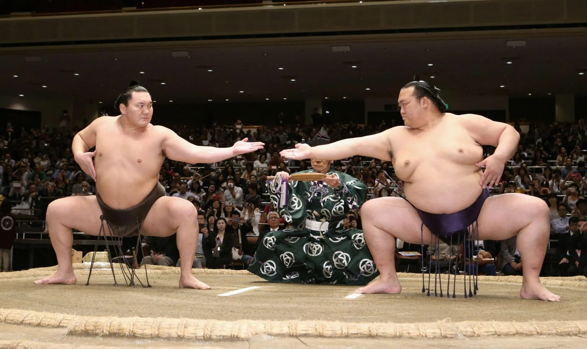 2 sumo. 2 sumo