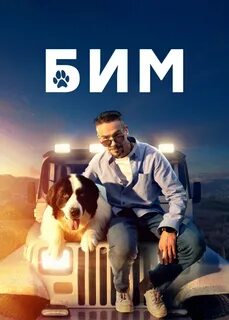 Бим пес в законе