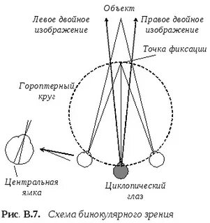 Бинокулярное зрение лечение