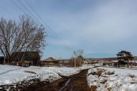 Погода алтайский край заринский