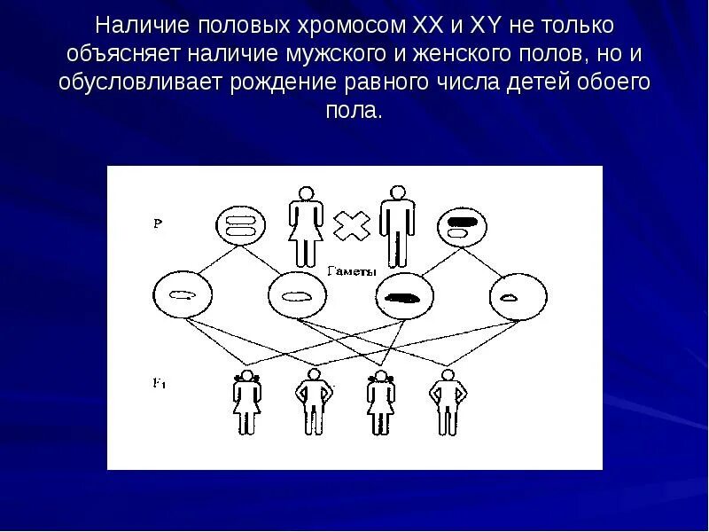 Хромосомные болезни синдром клайнфельтера. Синдром клайнфельтера хромосомы. Кариотип человека 22 аутосомы. Набор половых хромосом человека. Какая пара половых хромосом.