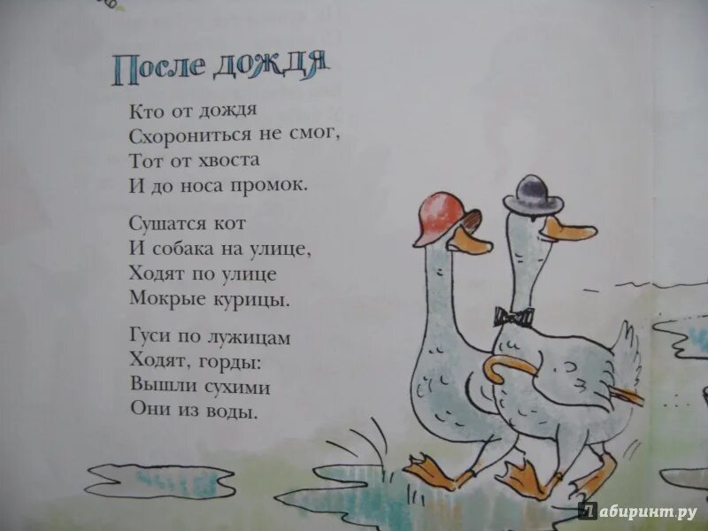 Стихотворение сергея орлова. Стихотворение Владимира Орлова. Стихи Владимира Орлова для детей.