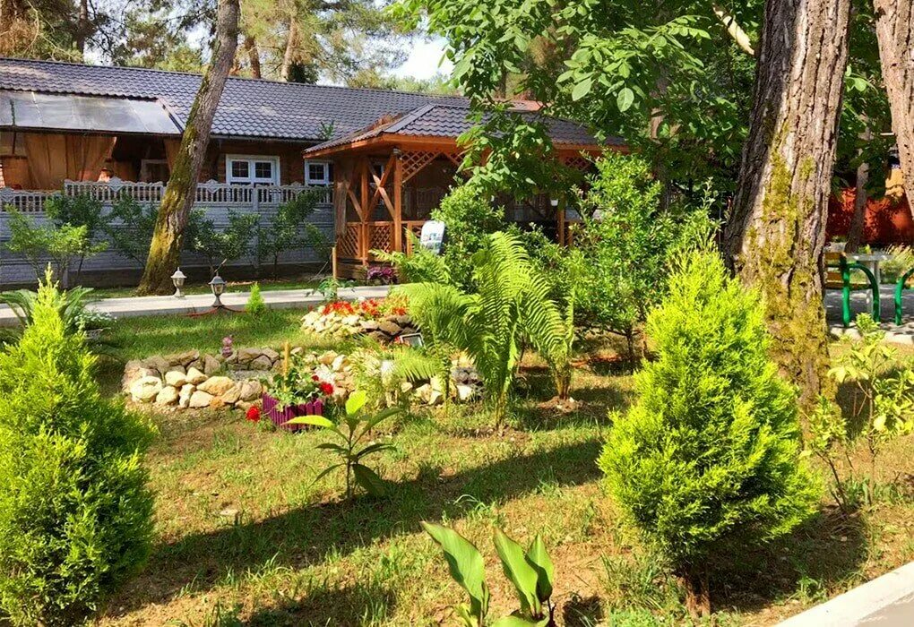 кипарисовая аллея лазаревское. пицунда кипарисовая аллея 7. гостевой дом кипарисовая аллея. гостевой дом кипарисовая аллея. гостевой дом кипарисовая аллея.