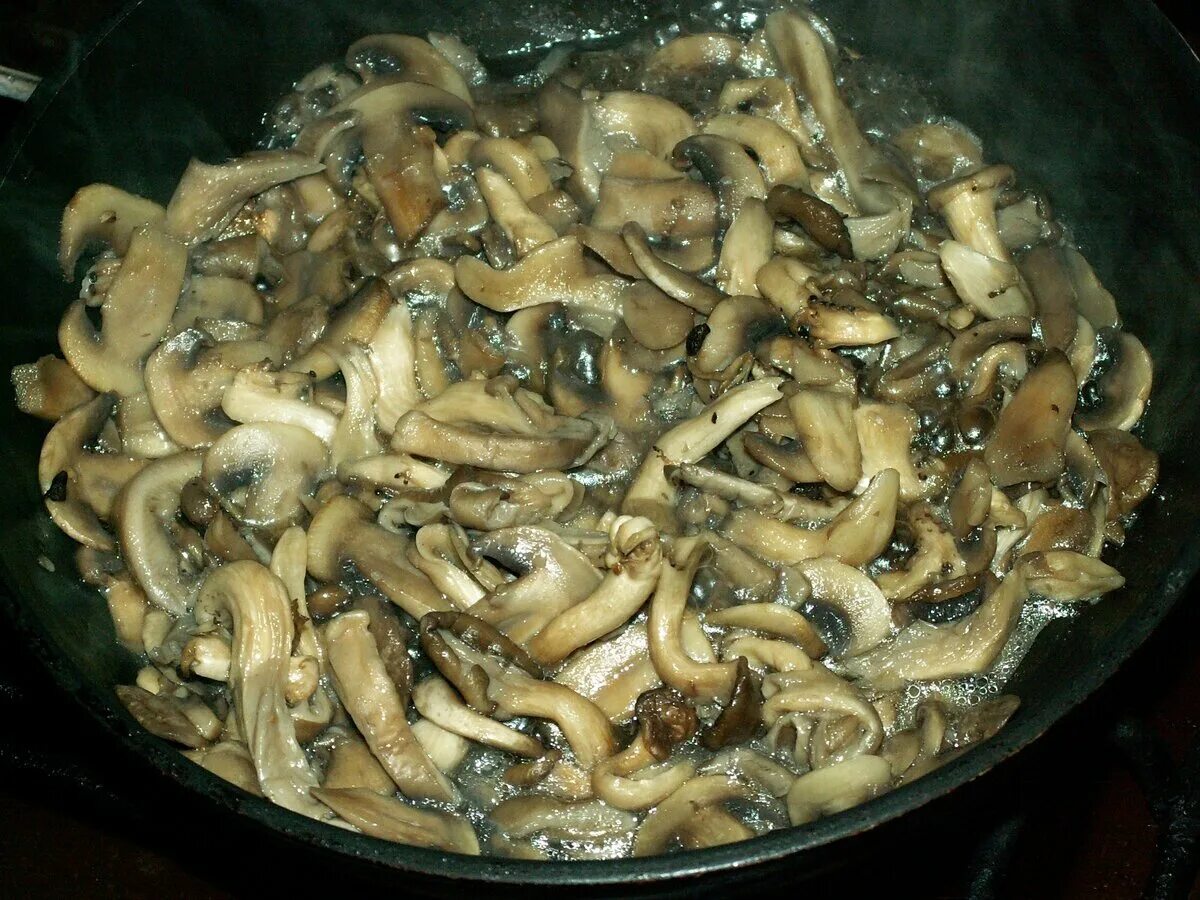 Вешенка гриб приготовление на сковороде