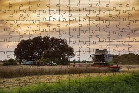 Holland farm