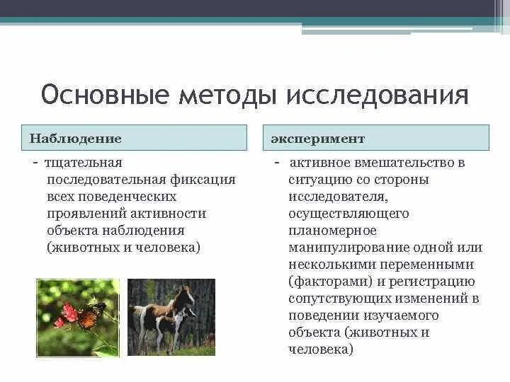 Наблюдение за животными какая наука. Методы изучения животных. Методы обследования животных. Метод изучения поведения животных. Способы и методы изучения наблюдение опыт.