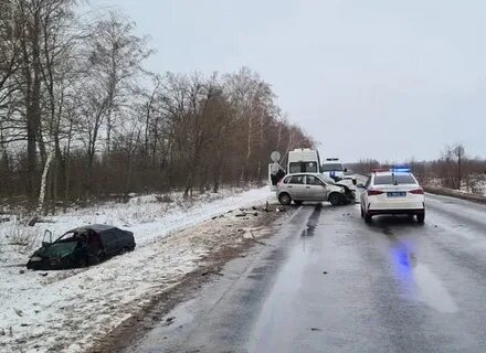 Маршрутка щигры курск сегодня