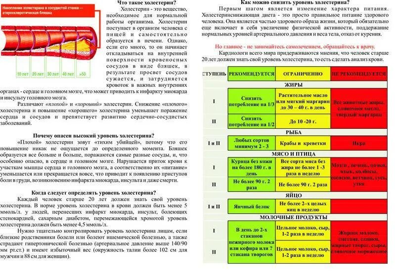 Снижение уровня холестерина в крови. Показатель высокого холестерина в крови. Опасный уровень холестерина. Степени повышенного холестерина.