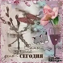 25 февраля воскресенье доброе утро. Доброе Воскресное утро февраля. Доброе февральское утро воскресенье. Доброе Воскресное утро гифки. Доброе утро воскресенье февраля.