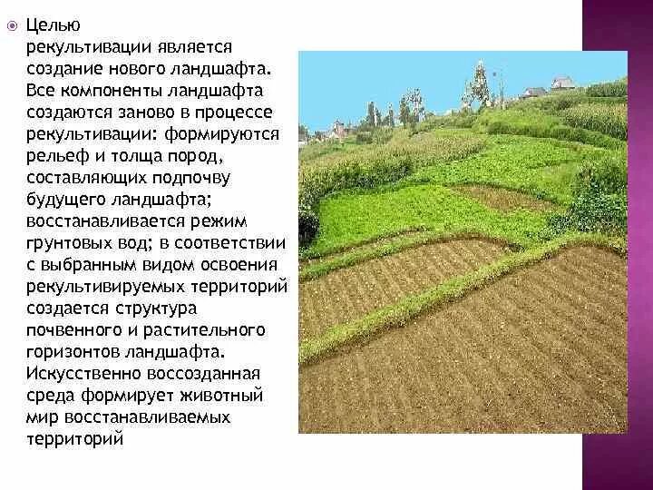 Рекультивация земель является примером. Рекультивация ландшафтов. актуальность рекультивации. как проводят рекультивацию земель. слайд направления рекультивации.
