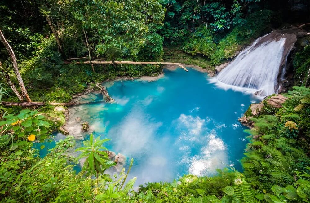 Ojo de liebre lagoon