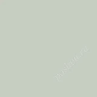 7 915 499 57 80