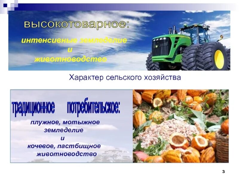 Сельское хозяйство россии кратко. Специализация хозяйства западной европы. Общая характеристика сельского хозяйства мира. Характер сельского хозяйства. Характеристика сельского хозяйства.