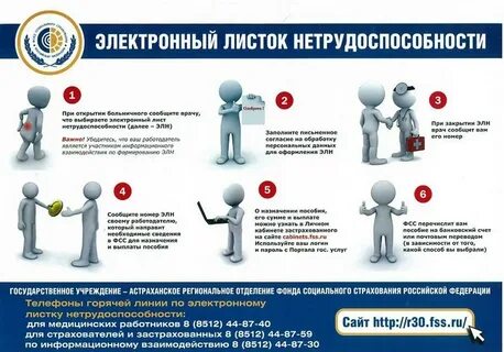Элн 2024