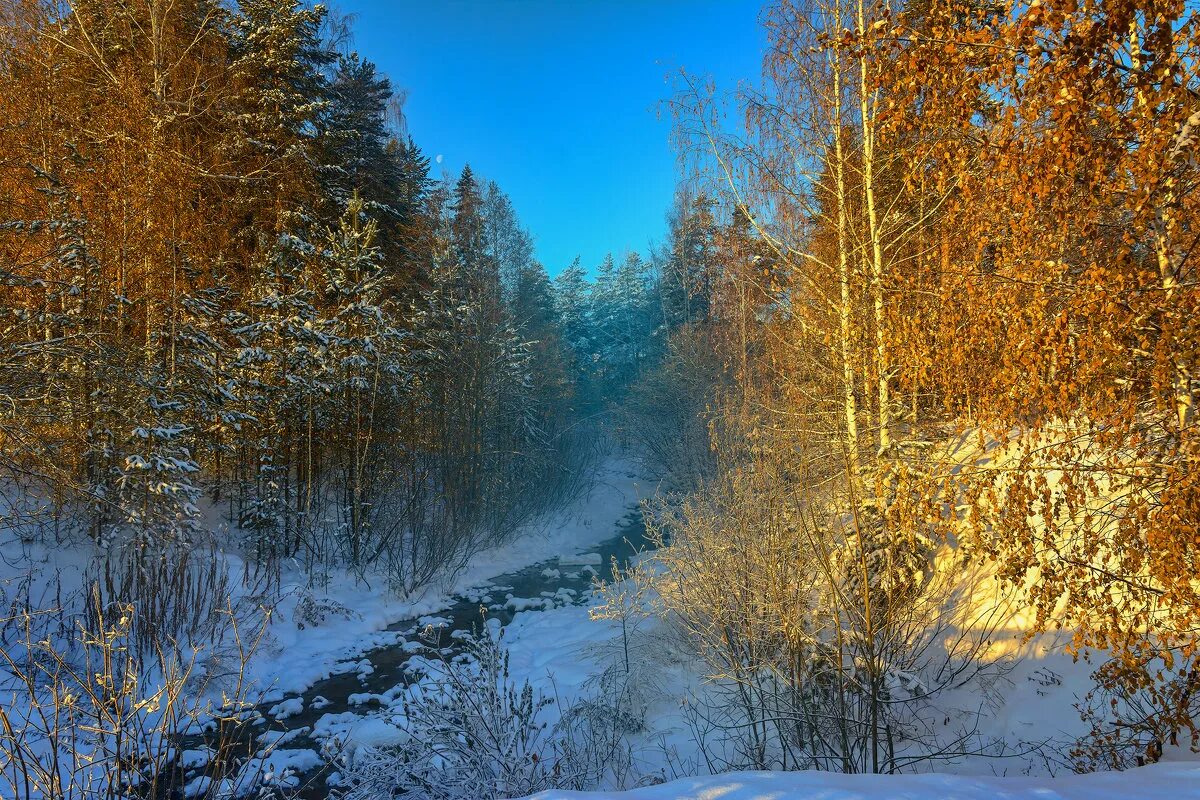 Ноябрь картинки. Ноябрьский пейзаж. Ранняя зима. Ноябрь пейзаж. Ноябрь на Урале.