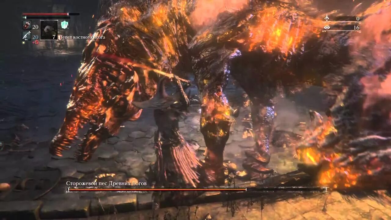 Сторожевой пес древних богов арт. Bloodborne сторожевой пес древних. Сторожевой пес древних богов. Сторожевой пес древних богов. Как победить сторожевого пса древних богов в блудборне пс4.