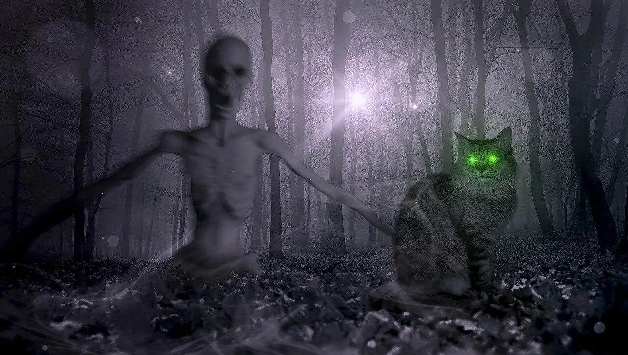 Страшные коты ночью. Мистические кошки. мистические существа страшные. страшные мистические кошки.