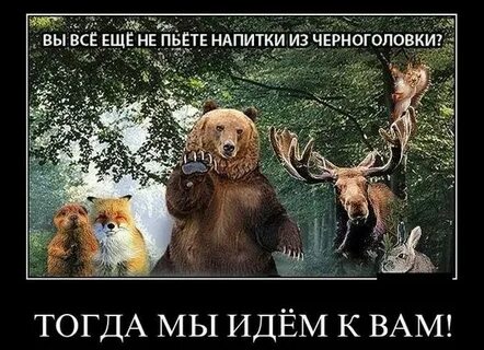 Тогда вам не понять