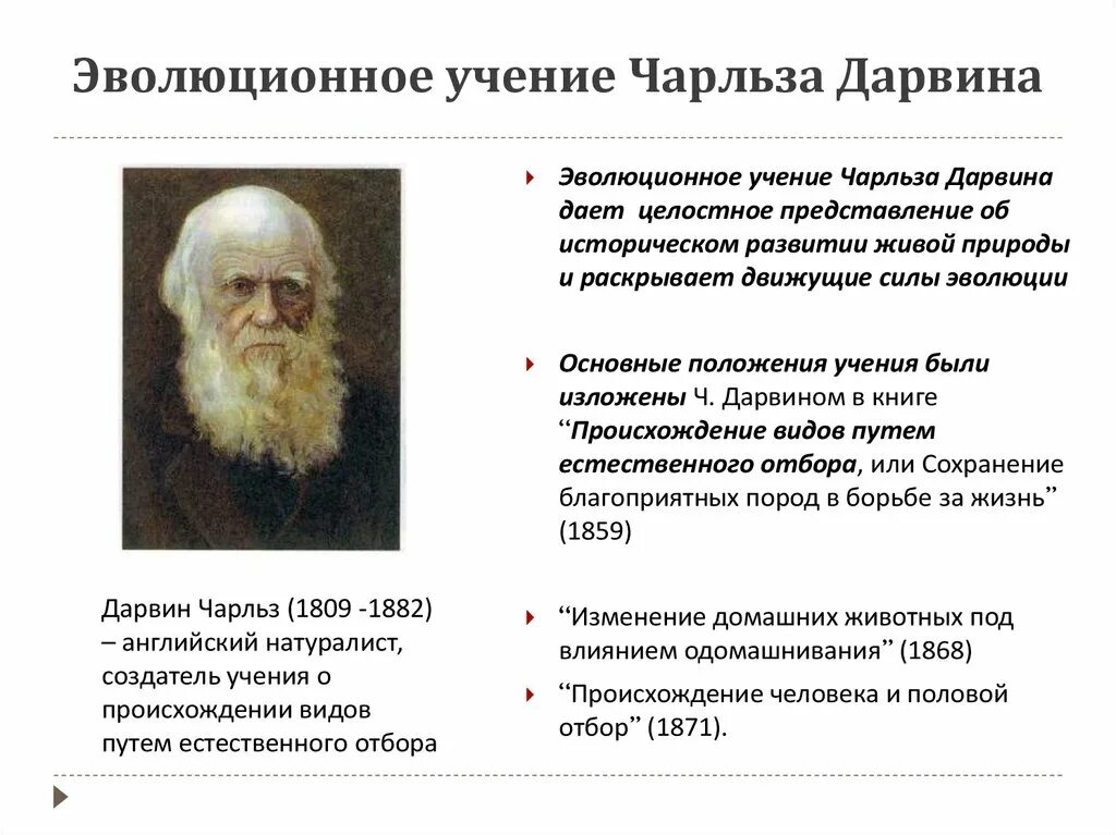 Первая теория дарвина. Эволюционное ученик Чарльза Дарвина. Вклад в развитие эволюционных идей Дарвина. Эволюционное течение Дарвина.