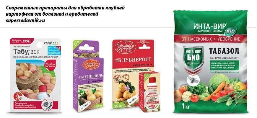 Препараты для обработки клубней картофеля перед посадкой. Обработка картошки препарат. препараты для обработки картофеля перед посадкой. препарат для обработки клубней картофеля перед посадкой. обработка клубней картофеля от колорадского жука.